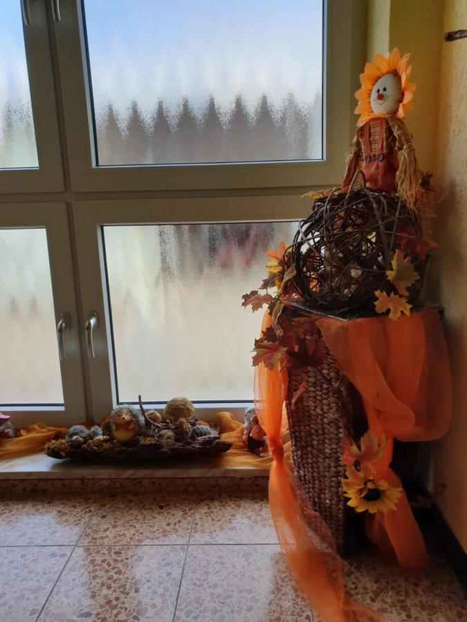 Ferienwohnungen - Gaestehaus Gertrud Moog- Rust Dış mekan fotoğraf